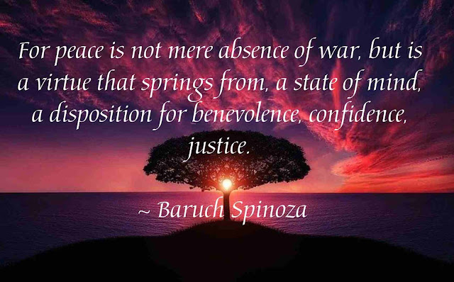 Spinoza Quotes in English