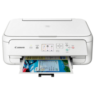 Canon PIXMA TS5151 Driver Download