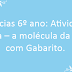 Ciências 6º ano: Atividade Água – a molécula da vida – com gabarito.