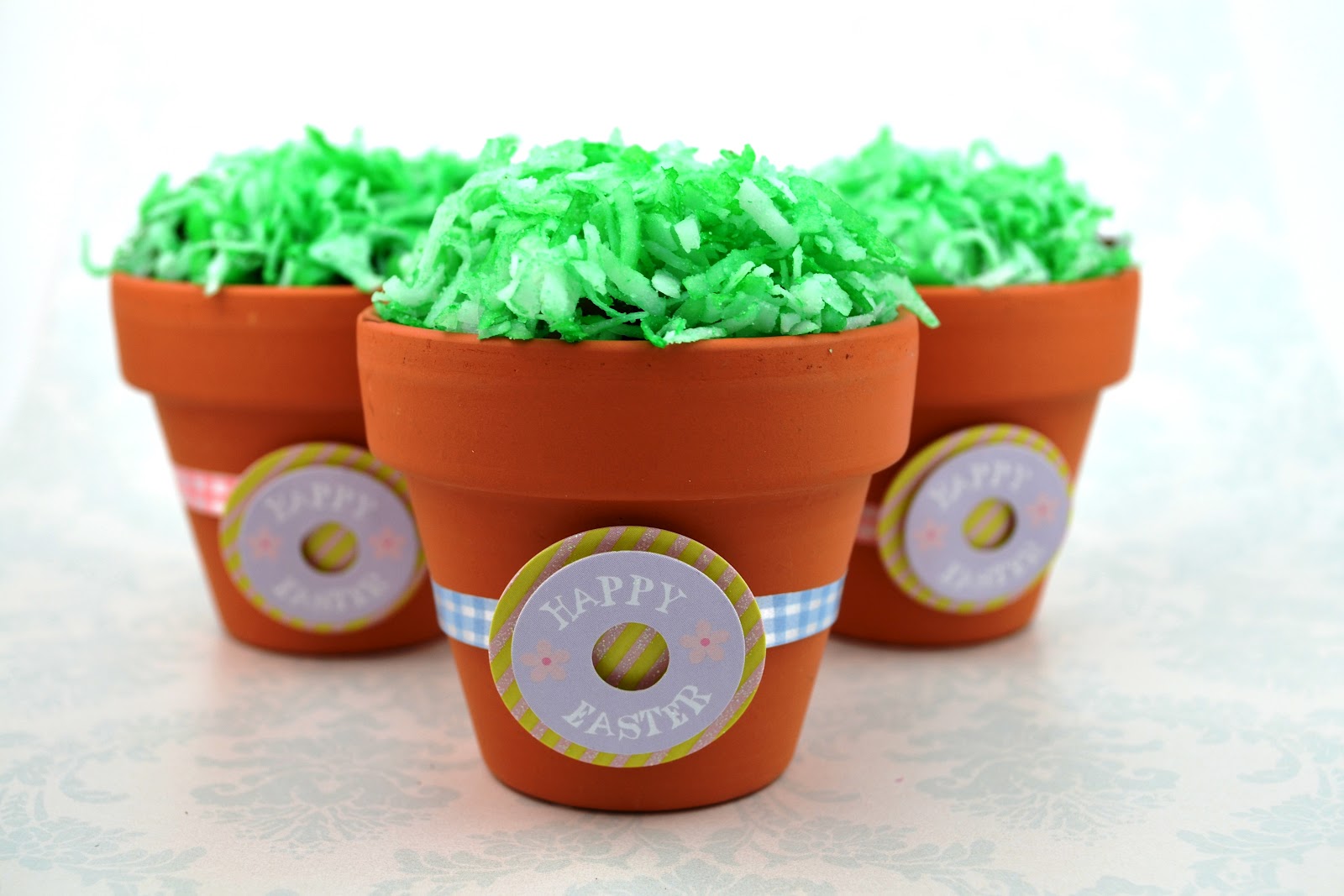 Sweetology Magic Jelly Beans and the Lollipop Garden (Pudding Treats)