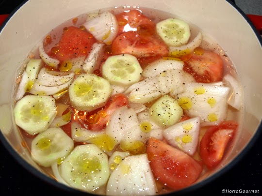 Tomate, cebolla, pepino y patata cocción HortoGourmet