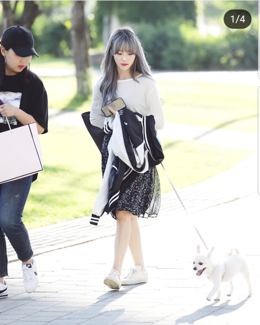 강아지랑 산책하는 우주소녀 루다 | 인스티즈