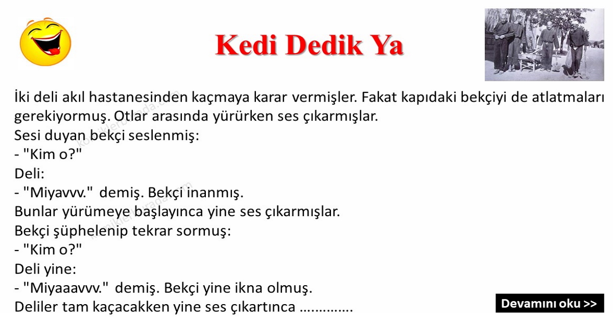 Kedi Dedik Ya Mizah