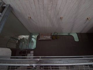 リビングルーム用の植物 - ブラジルウッド (ドラセナ フレグランス)