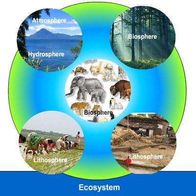 domains of environment class 7 learn cbse class 7 social science