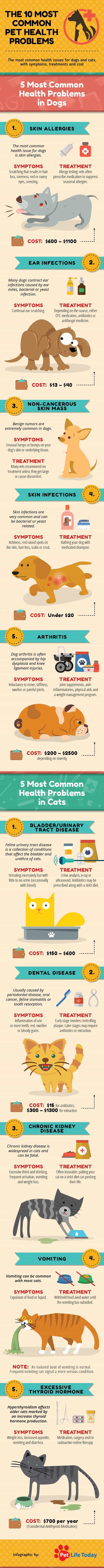 The 10 Most Common Pet Health Problem #Infographic