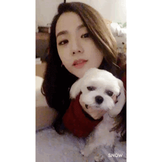 신년맞이 블랙핑크 지수 레전드 움짤 모음(※데이터조심)