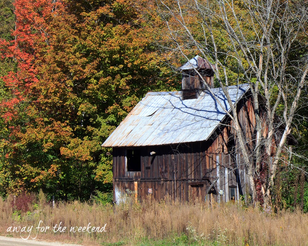 I took these a couple of weeks ago when the leaves were just starting