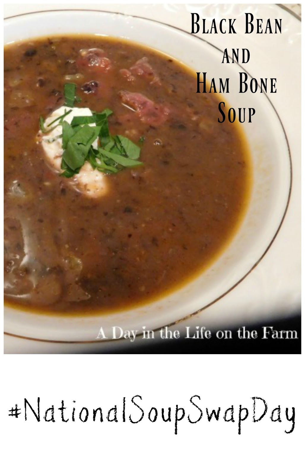 A Day in the Life on the Farm Black Bean and Ham Bone Soup 
