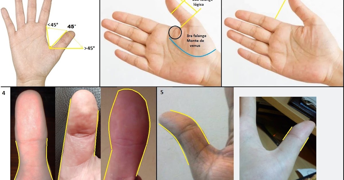El dedo pulgar El dedo pulgar