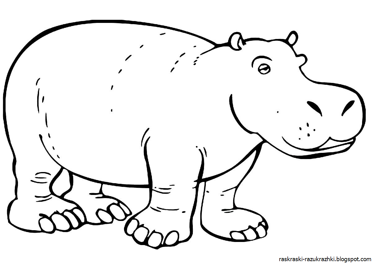 гиппопотам на белом фоне. бегемот раскраска. бегемот рисунок для детей. бегемот раскраска. бегемотик раскраска для детей.
