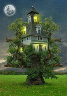 Unique-house-on-a-tree