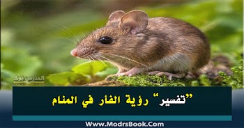 فسر حلمك~ تفسير الفأر في المنام للشيخ محمد ابن سيرين والنابلسي
