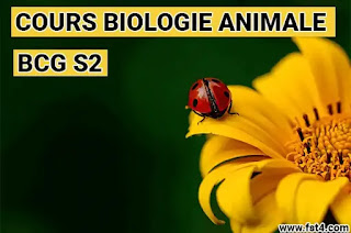 COURS BIOLOGIE ANIMALE BCG S2 PDF COURS BIOLOGIE ANIMALE BCG S2 PDF
