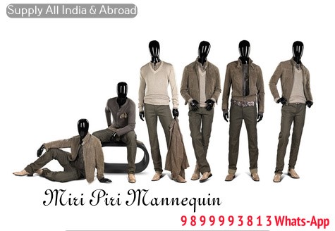 Manufacturer & Traders of IMPORTED Mannequin - Indian Female Mannequins, Mens Imported Mannequin