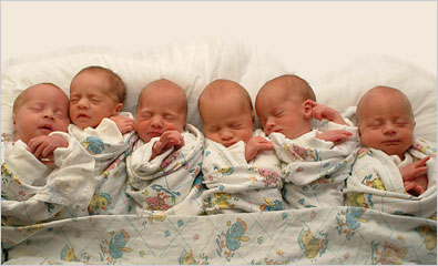 multiple births babies octuplets birth sextuplets topics twins baby cute septuplets wordpress triplets newborn pregnancy gestation lion single delivery woman