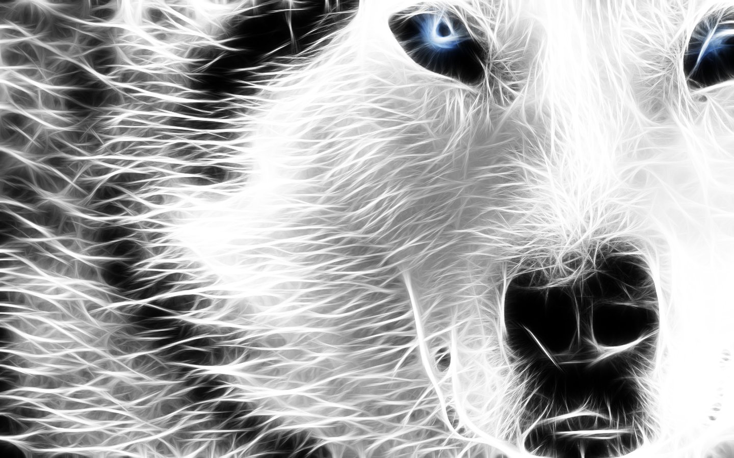 Free Wallpaper Archive: 10 Dog/Wolf Wallpapers