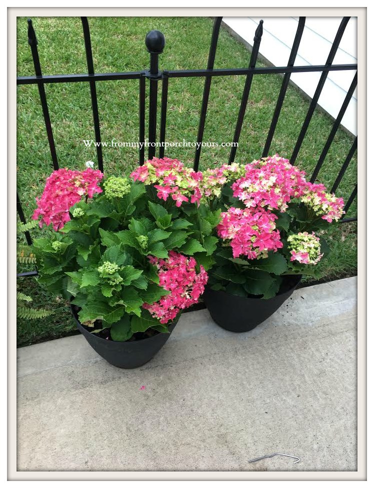 From My Front Porch To Yours Creating A Flower Bed