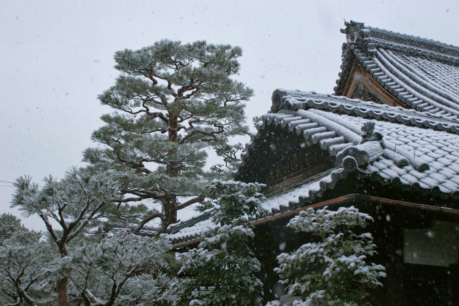 Shunkoin Temple in Snow