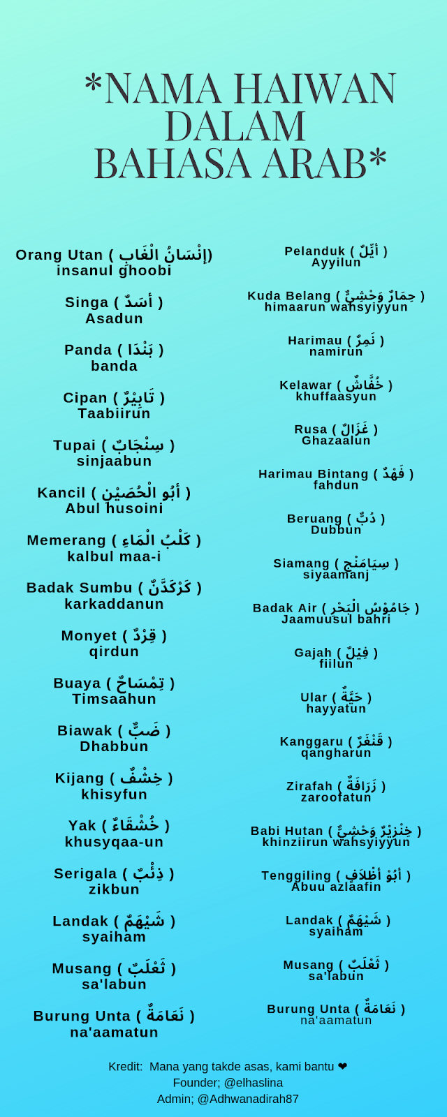 Nama Nama Haiwan Dalam Bahasa Arab
