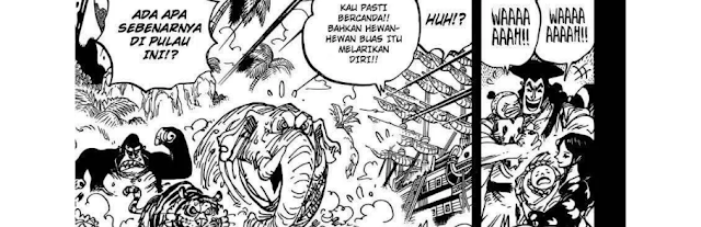 Spoiler Manga One Piece 966 - Shiroige vs Roger