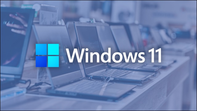 Windows 11