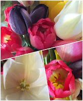 fleurs de tulipe