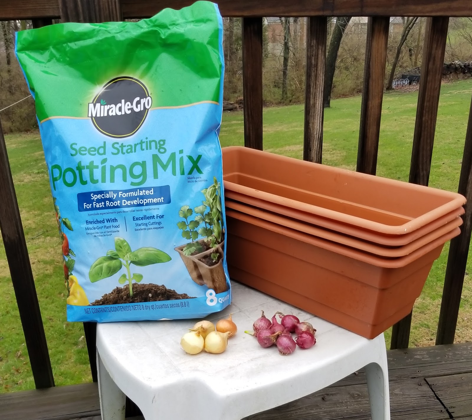 Classy Event Organizer Planting Onion Sets in Containers