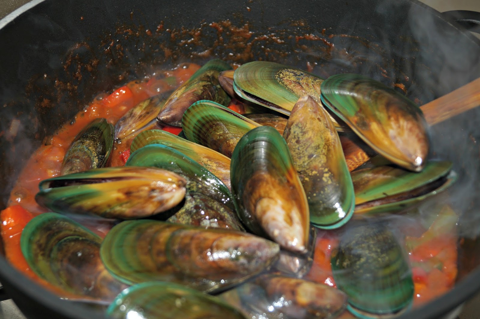 Green Lip Mussels in Tomato and Capsicum Sauce The Cooking Wardrobe