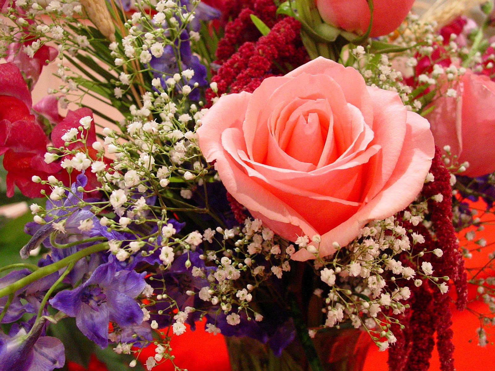 Featured image of post Beautiful Scenery Beautiful Pictures Of Flowers Free Download