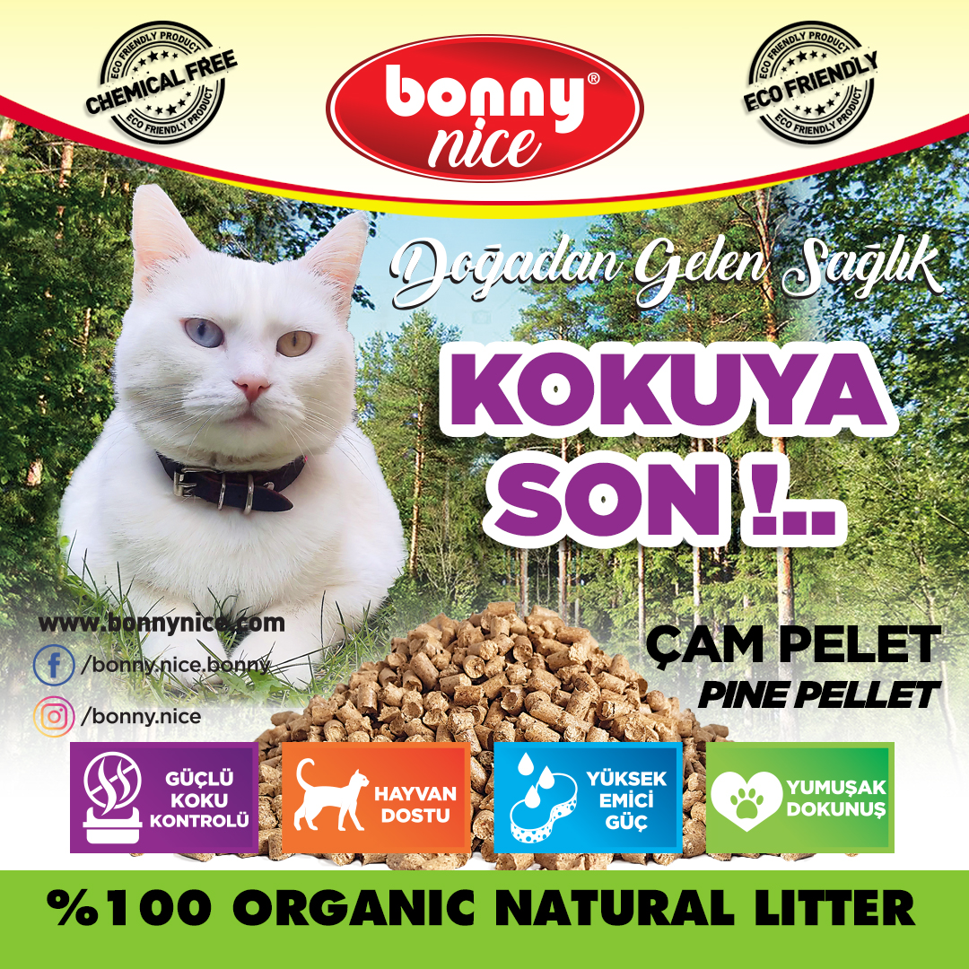 pelet kedi kumu