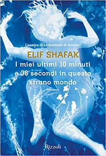10 Minutes 38 Seconds in This Strange World by Elif Shafak 10 Minutes 38 Seconds in This Strange World by Elif Shafak on Nikhilbook
