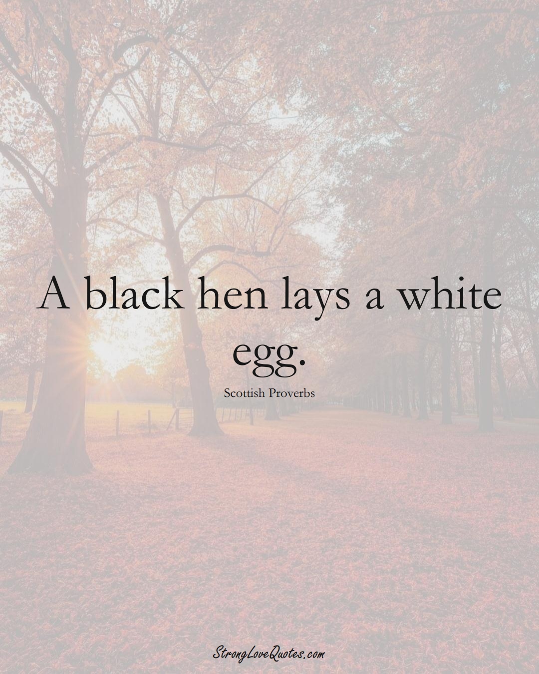 A black hen lays a white egg. (Scottish Sayings);  #EuropeanSayings