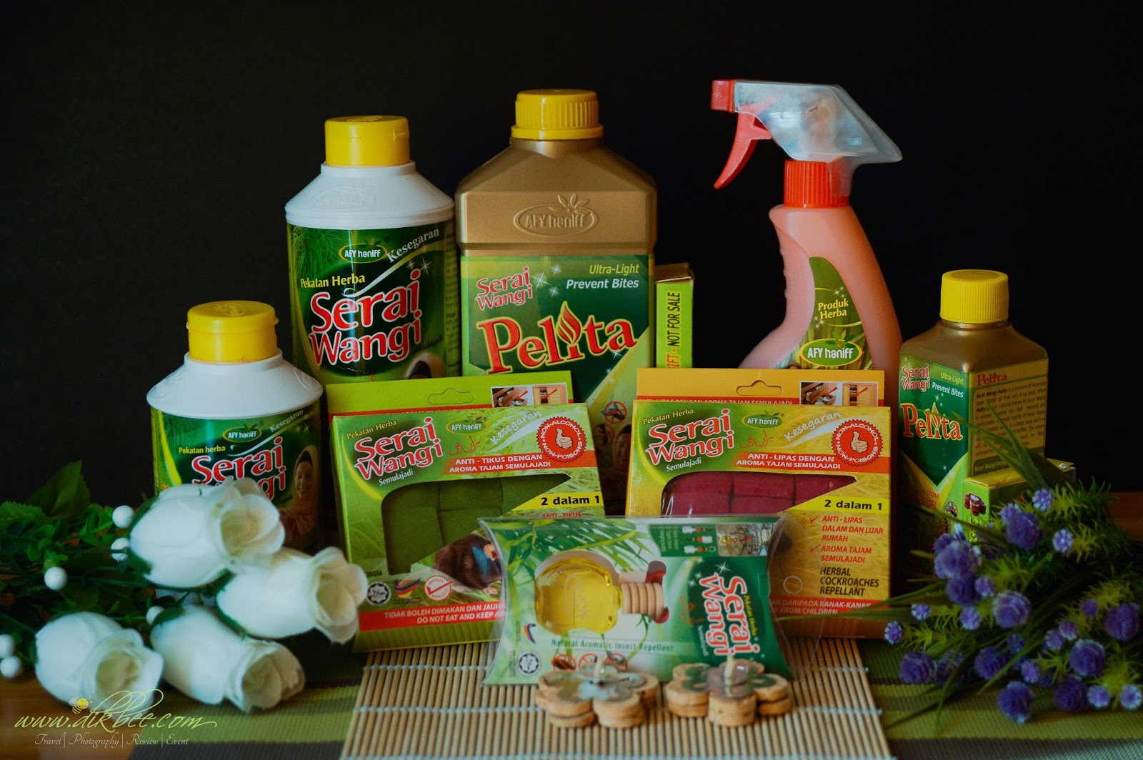 Afy Haniff Penyelesaian Masalah Serangga Di Rumah