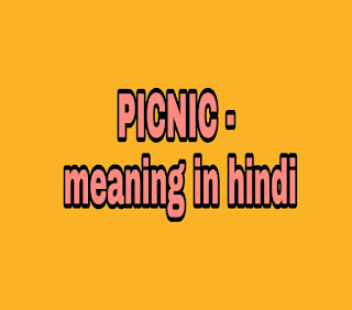 picnic meaning in Hindi