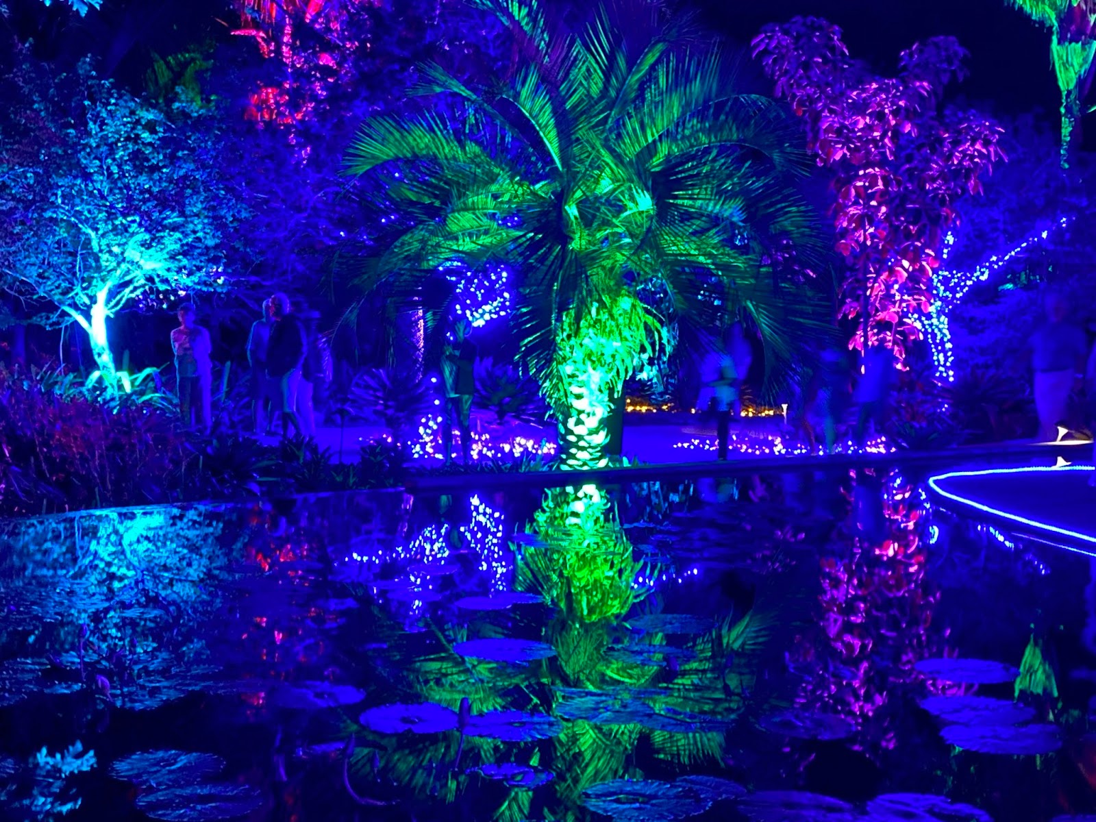 Southwest Daily Images Night Lights at the Naples Botanical Gardens
