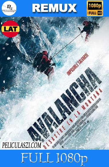 Avalancha, Desastre en la Montaña (2019) Full HD REMUX 1080p Dual-Latino VIP