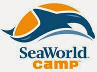 SeaWorld Camp Internship