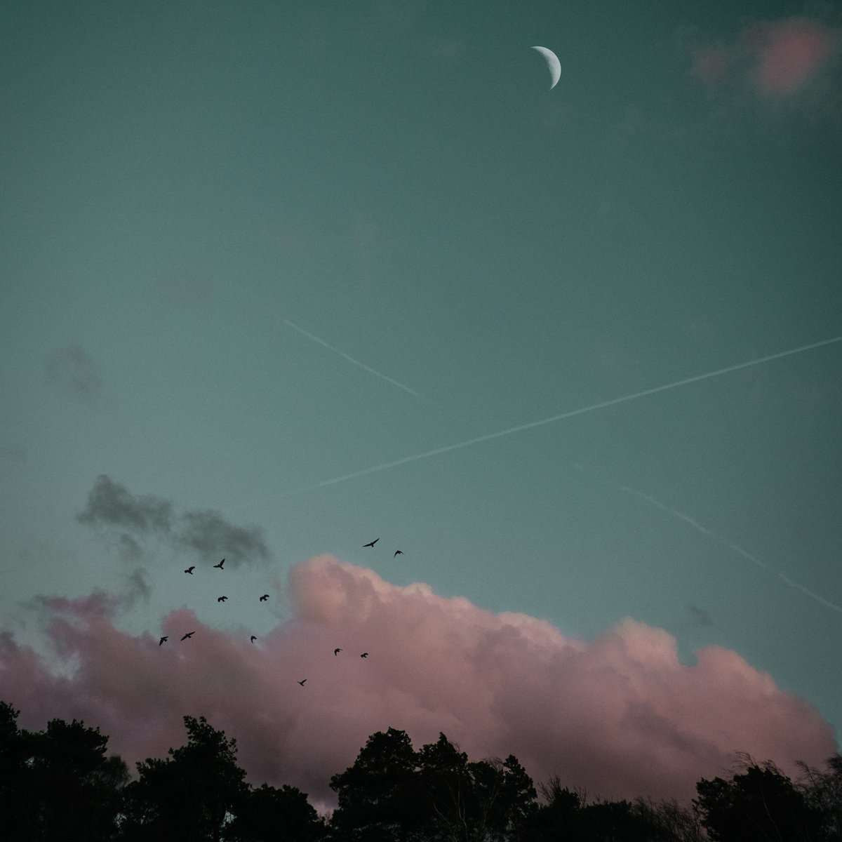 Https Www Diva Portal Org Smash Get Diva2 1230716 Fulltext01 Pdf