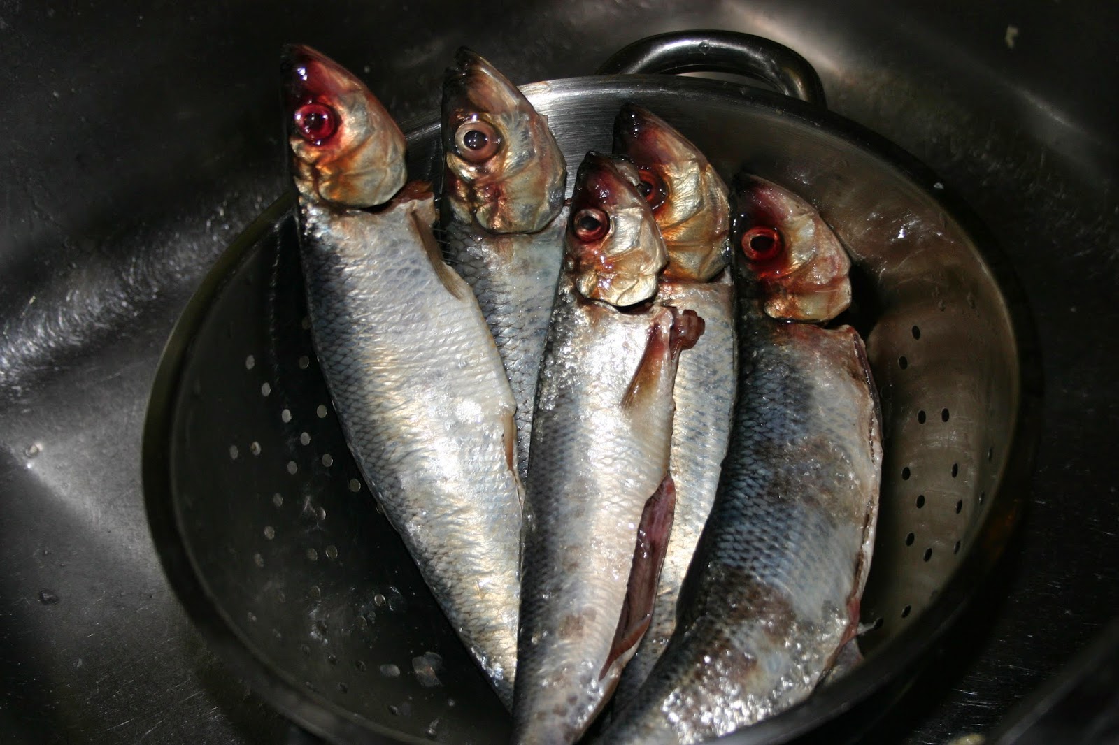 Neil Cooks Grigson 390 Isle of Man Herring Pie