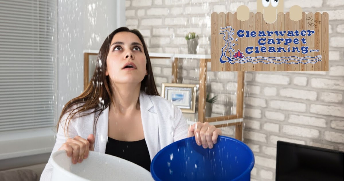 Clearwater Carpet Cleaning