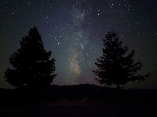 A photo of a starry night sky with trees, showing the Night Sight feature in action