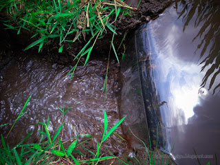 Irrigation Channel Water Flow Of The Rice Field In Agricultural Area At The Village North Bali Indonesia
