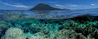 Keindahan alam bawah laut Bunaken