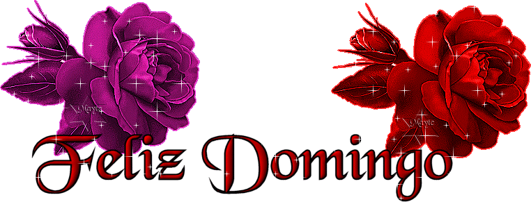 Imagenes Feliz Domingo Amor Mio | imagenes de feliz domingo im 225 genes y amor Imagenes Feliz Domingo Amor Mio | imagenes de feliz domingo im 225 genes y amor