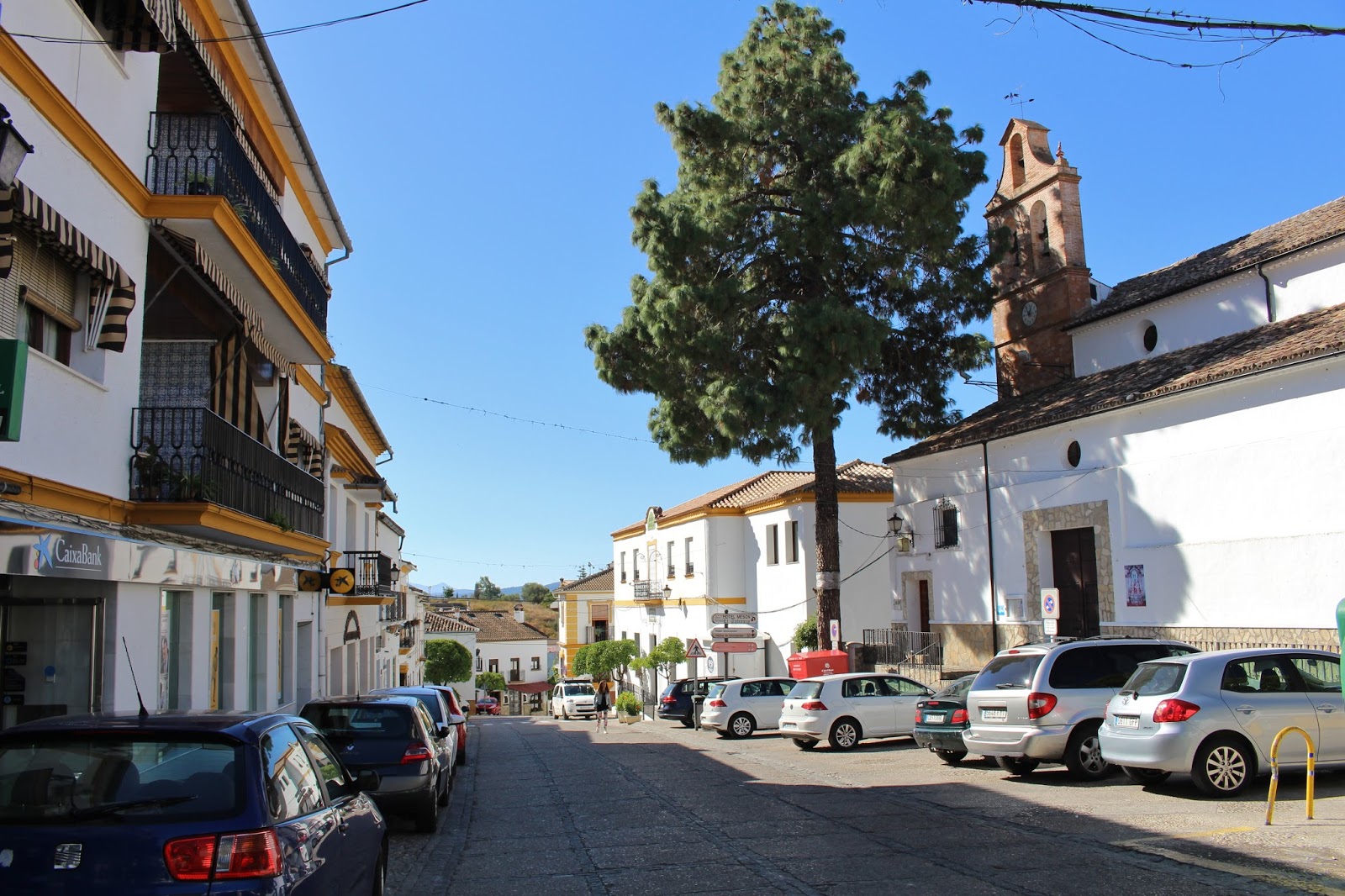 Rinconesibericos EL BOSQUECádizAndalucíaEspaña