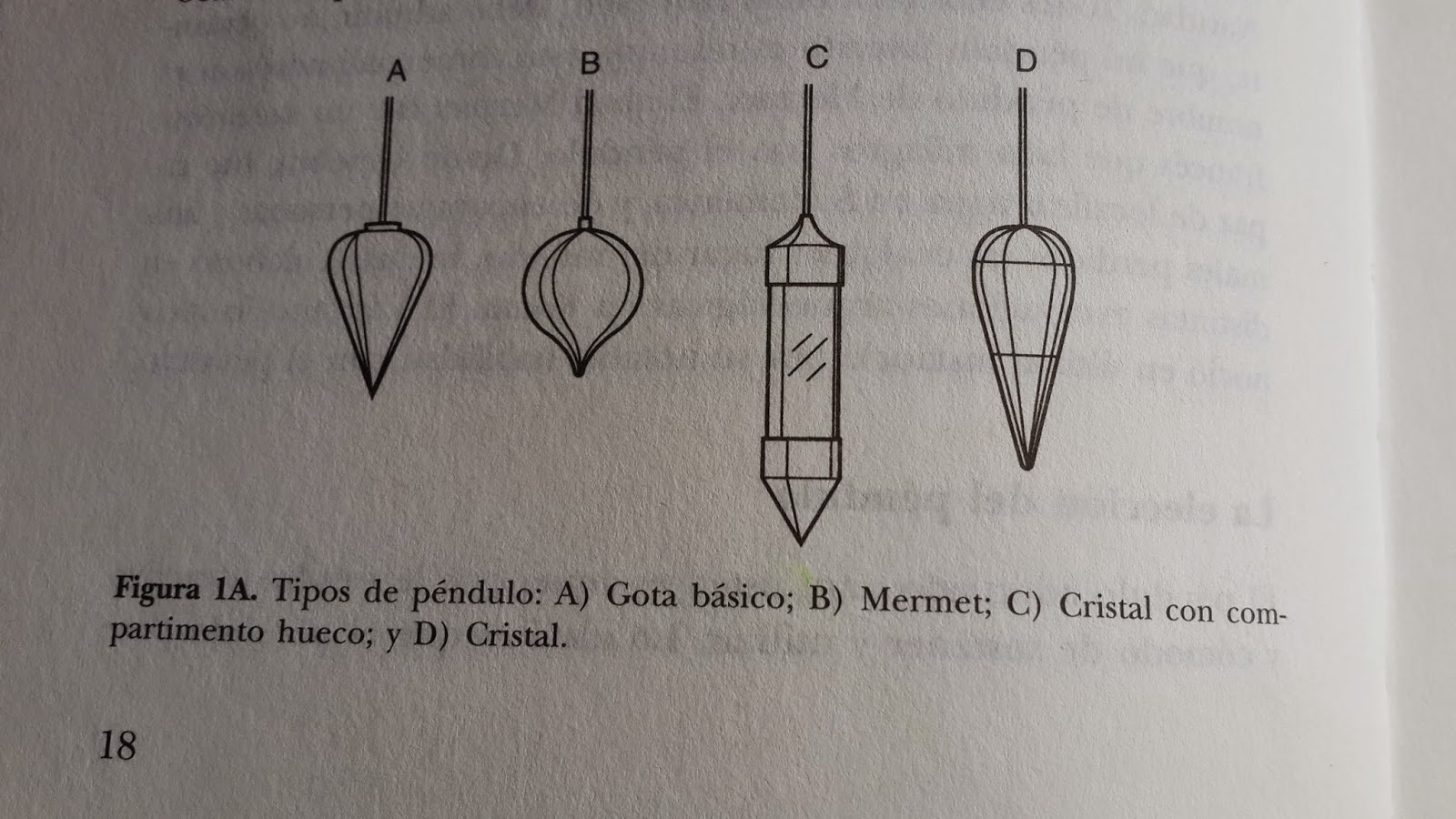 The misteries of a pendulum The different types of pendulums
