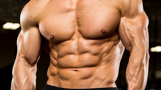 bulking steroid cycles recommendation 