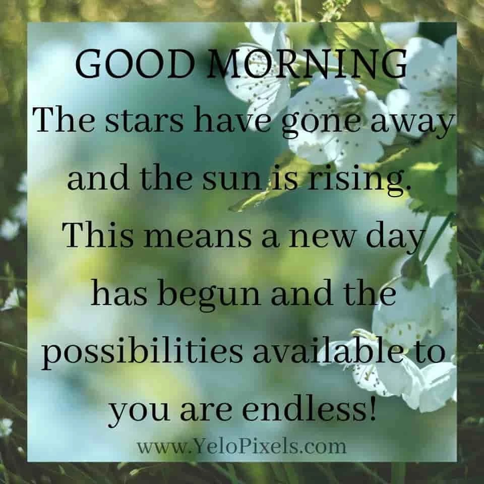 the stars has gone and sun has rising don't wait for anyone so get up in early in morning The-stars-has-gone-and-sun-has-rising-don't-wait-for-anyone-go-through-it