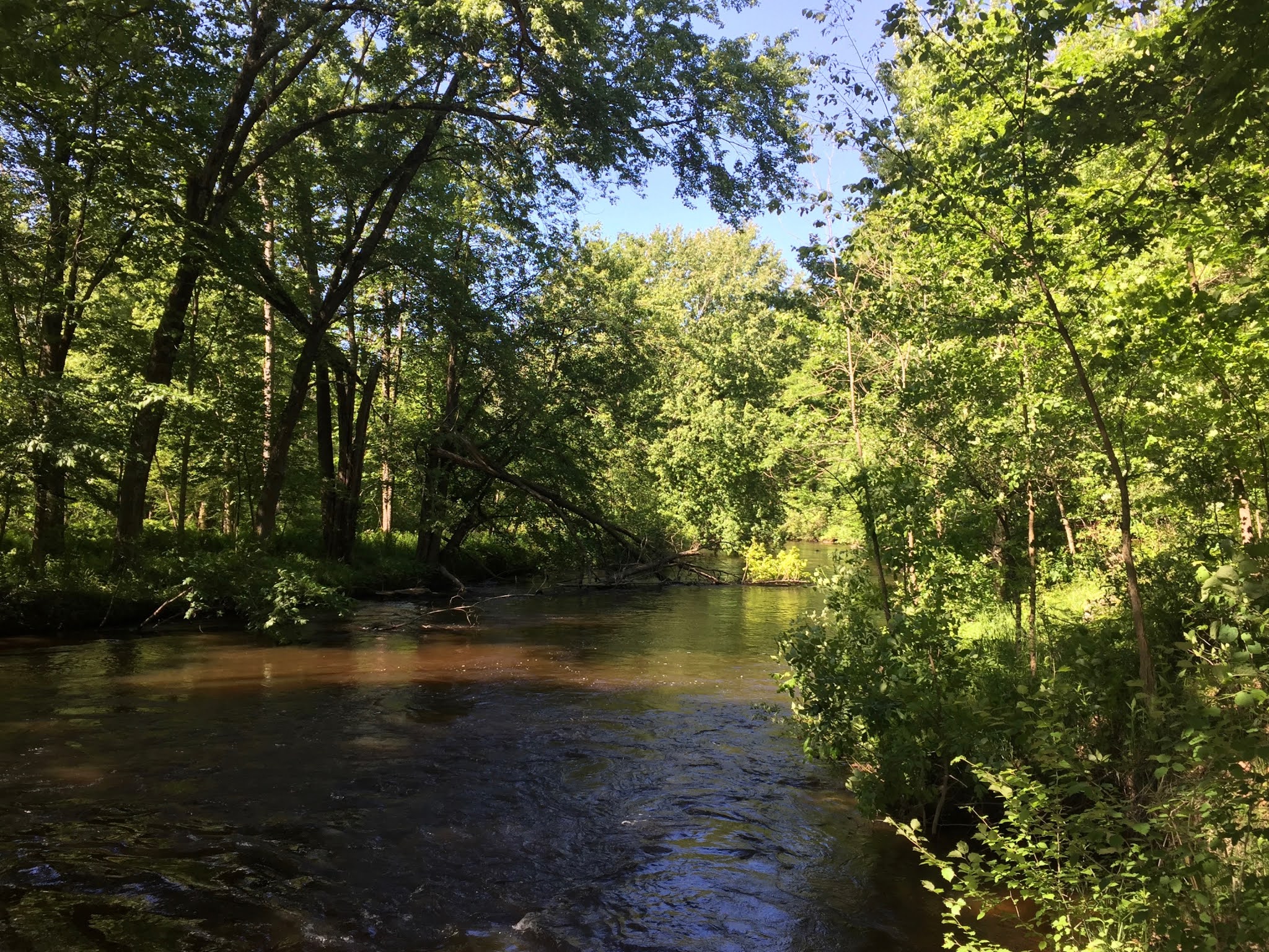 Travel Reviews & Information Hesperia, Michigan Pines Point